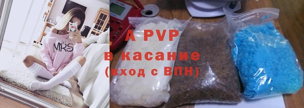 первитин Богданович