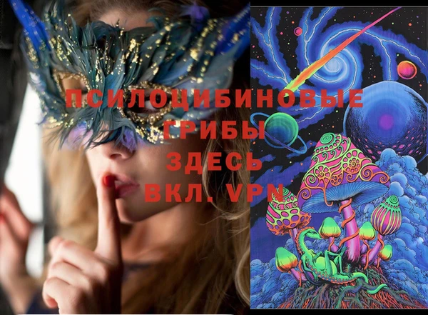 меф Богородицк