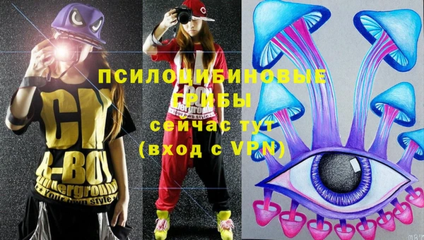 первитин Богданович