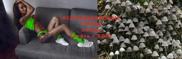 первитин Богданович